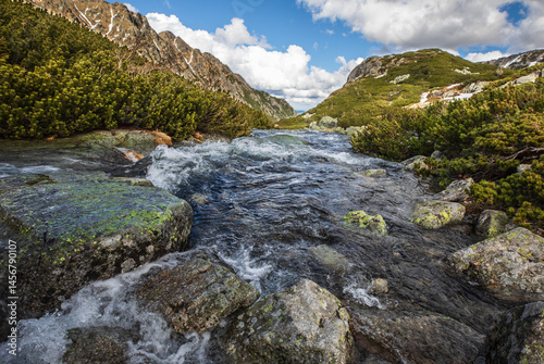 Fototapeta Naklejka Na Ścianę i Meble -  Wild mountain river in a rocky alpine valley, High Tatras, Poland fast-flowing mountain stream in a picturesque valley surrounded by pine shrubs and rocky slopes in the High Tatras mountains.