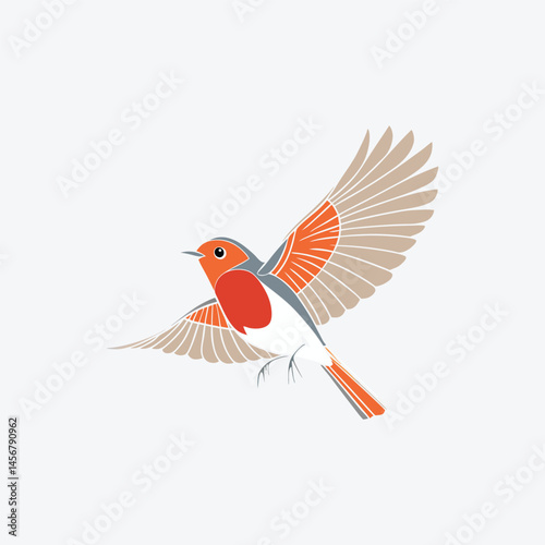 bird robin with different poses vector art illustration