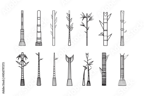 Bamboo shoots sketch illustration