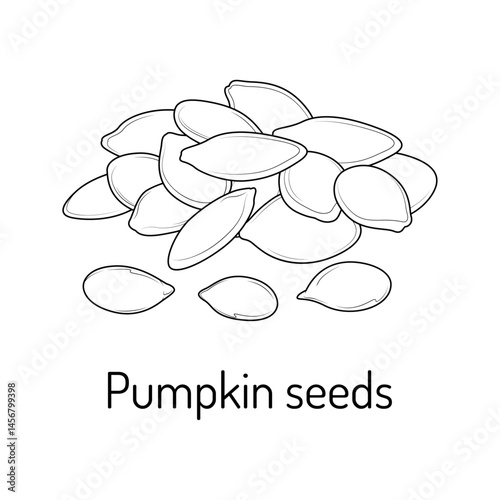 Black and white line illustration of pumpkin seeds. Perfect for food packaging, botanical projects, healthy eating designs, and educational materials related to nutrition or gardening.
