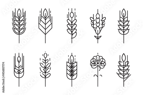 Barley line icon illustration