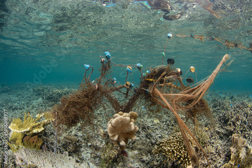 Fototapeta Naklejka Na Ścianę i Meble -  A discarded fishing net is found on a shallow coral reef in Raja Ampat, Indonesia. Ghost nets such as these can continue to kill fish for years.