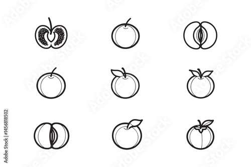 Black Sapote Fruit Line Drawing
