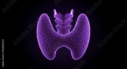 Glowing Purple 3D Thyroid Gland Medical Illustration