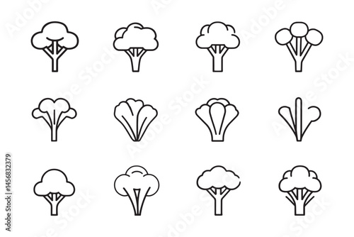 Minimalist broccoli vegetable line drawing