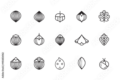 Modern buckwheat grain line artwork