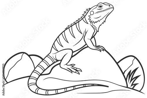 Detailed outline of an iguana perched atop rocks, creating a drawing suitable for coloring books and vector illustrations.