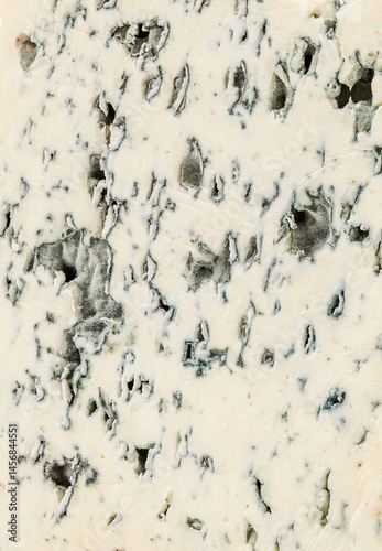 Blue Cheese piece textures background. Blue cheese texture with mold. Pattern