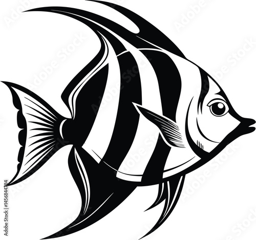 Angelfish silhouette, angelfish vector silhouette, icon, illustration on a white background