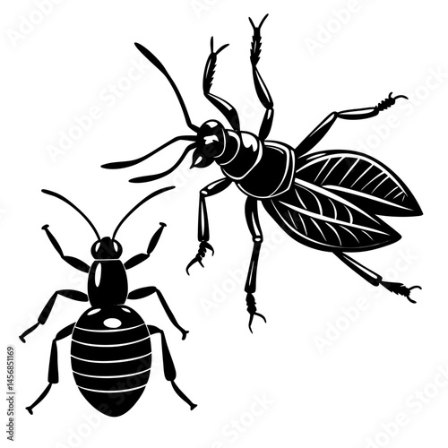 Crawling Insects Silhouette Set