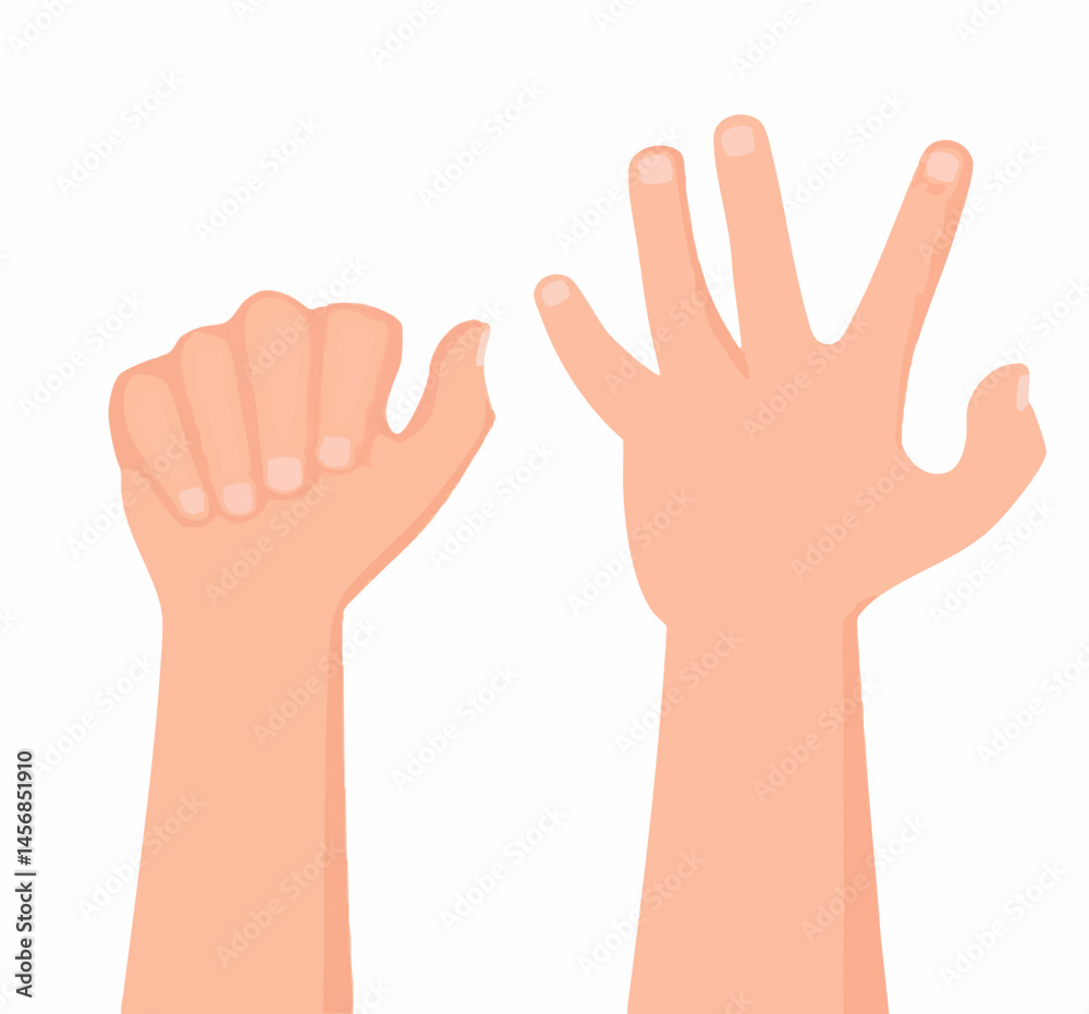 Cartoon Hands in Fist and Open Positions. Vector Image Cartoon Hands in Fist and Open Positions. Vector Image