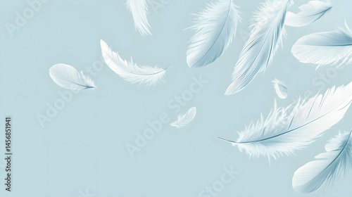 feather, bird, sky, light, vector, soft, blue, feathers, plume, illustration, wing, fly, nature, pen, angel, fluffy, object, water, quill, flying, pattern, single, decoration, set, art