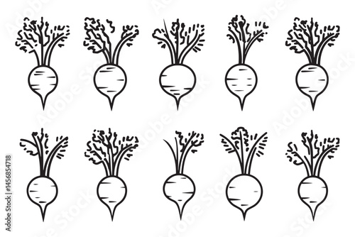 Celery Root Clean Line Drawing