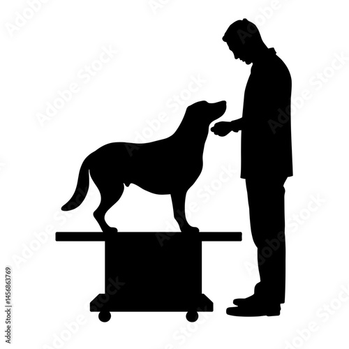 Veterinarian checking dog's weight on scale, pet care importance