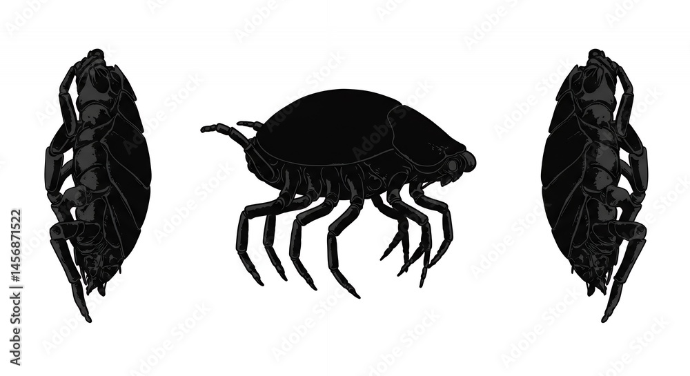 Naklejka premium Minimalist Vector Illustration of Black Tick Silhouette with Detailed Legs on White Background