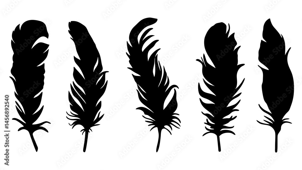 Obraz premium set of feathers silhouette vector on tranparent background