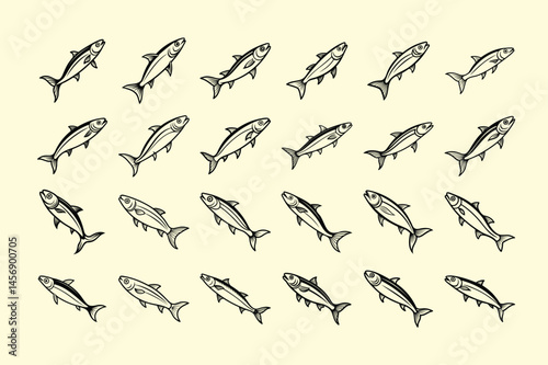 sardine fish design, labeled line art vector illustration.