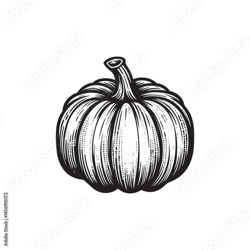 Black and white pumpkin vector illustration isolated on a white background