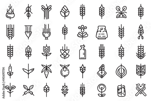 Einkorn Minimalist Line Art Illustration