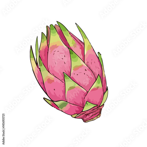 dragon fruit on white background
