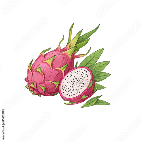 dragon fruit on white background