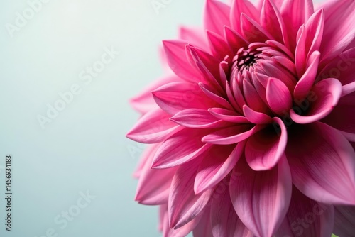Obraz na płótnie Intricate dahlia blooms, vibrant colors, close-up view, textile, decorative, dahlia w salonie