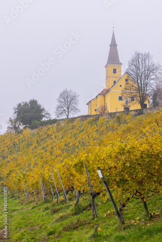 Yellow church towering over golden vineyards in Kapfenstein, Austria, during autumn foggy day