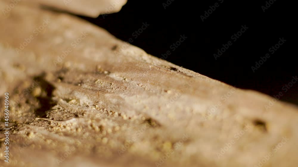 Matière bois en gros plan, détail et texture