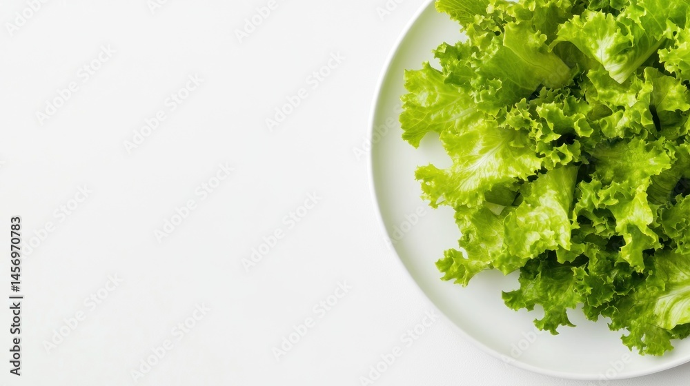 Fresh, vibrant green lettuce leaves on a white plate Fresh, vibrant green lettuce leaves on a white plate