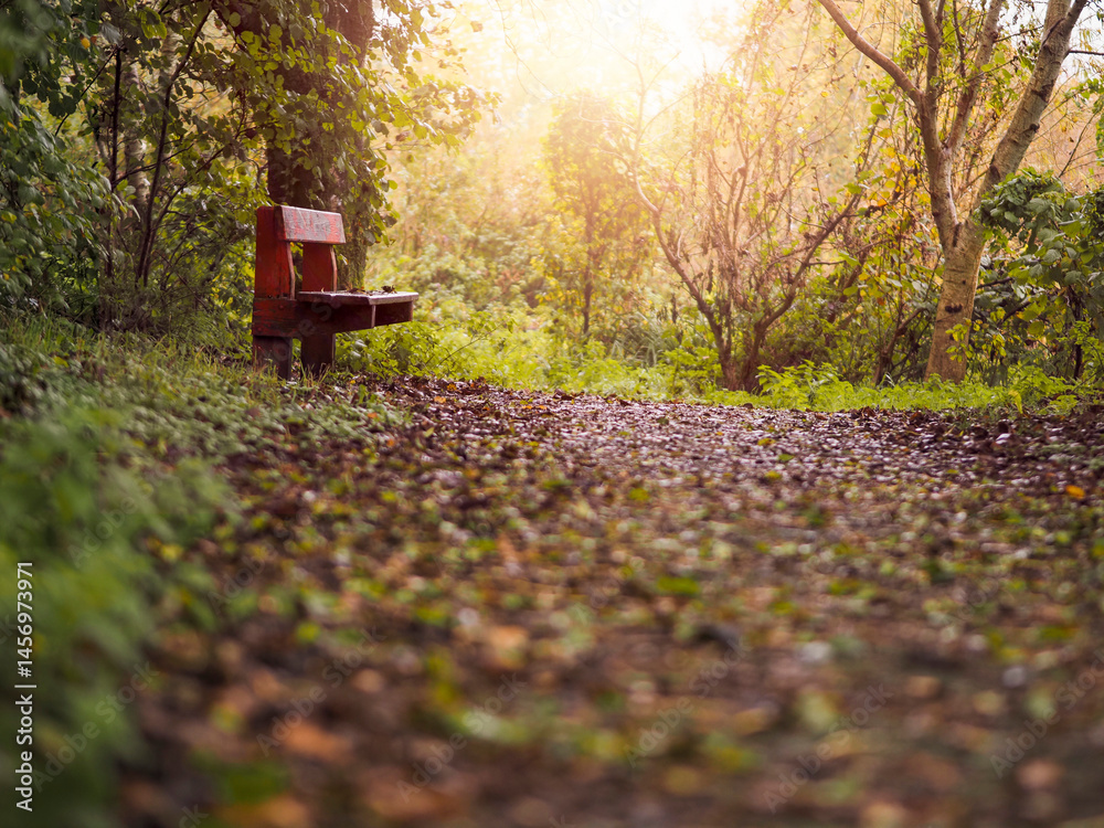 Old worn out wooden bench in red color in a forest park by a footpath. Selective focus. Nobody. Sitting area to enjoy colors and sounds of nature.