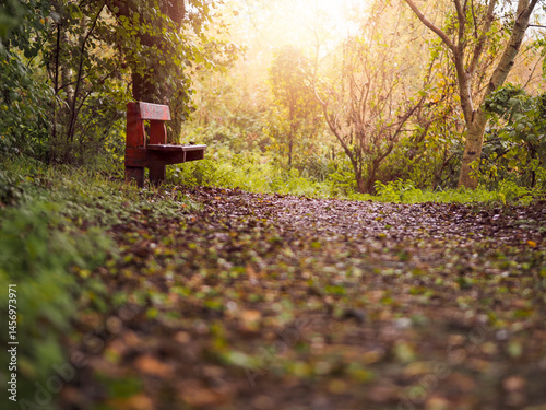 Obraz na płótnie Old worn out wooden bench in red color in a forest park by a footpath. Selective focus. Nobody. Sitting area to enjoy colors and sounds of nature. w salonie