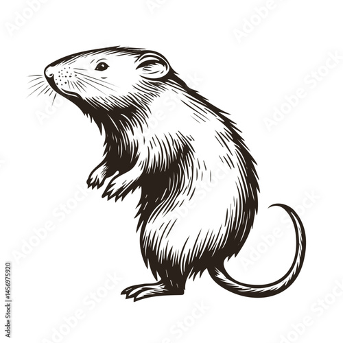 Black and white Mole symbol, perfect for tattoos, vectors, logos, isolated on a white background.