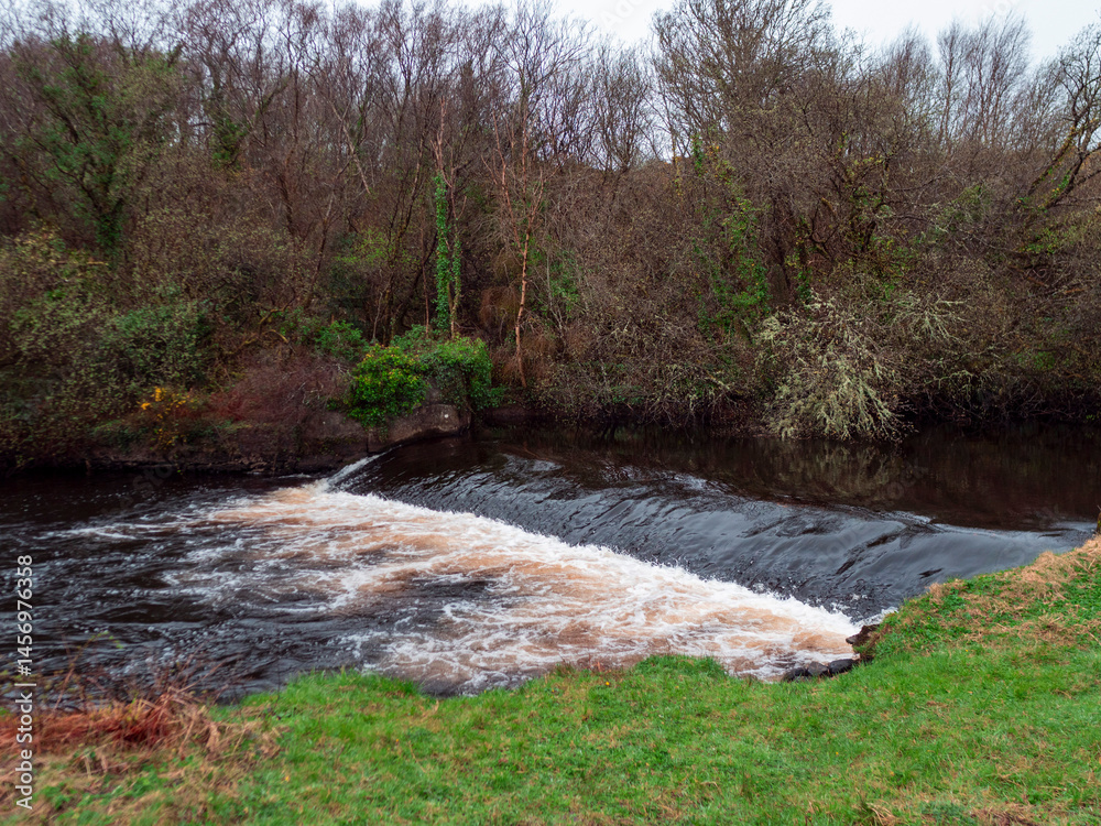 Small river with water flow. Trees and bushes growing on the river banks. Calm and relaxing nature scene.
