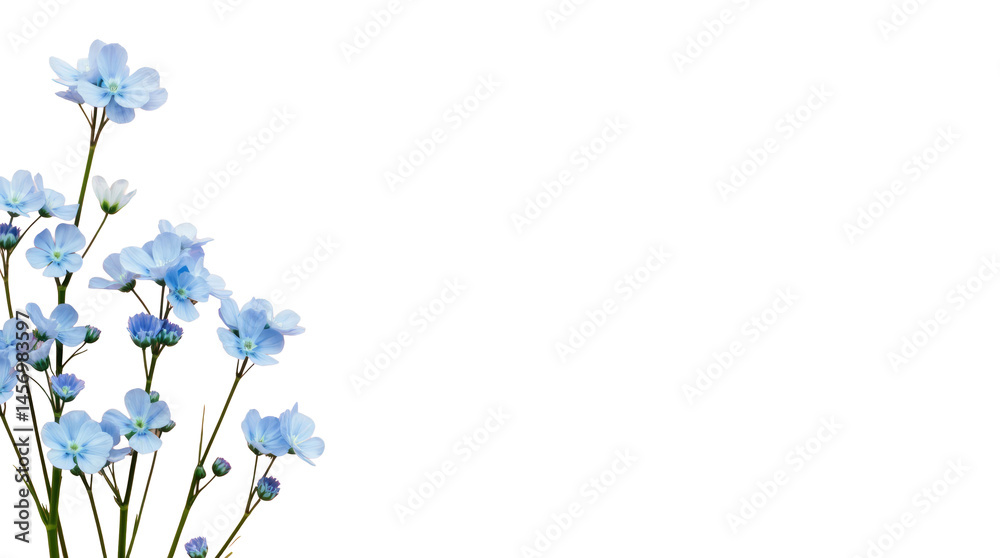 A Tranquil Arrangement of Light Blue Forget-Me-Nots Placed Vertically on the Left Side Against a Pale Pink Background A Tranquil Arrangement of Light Blue Forget-Me-Nots Placed Vertically on the Left Side Against a Pale Pink Background