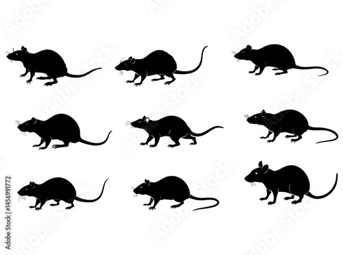 Silhouetted illustration of a rat. Bold black and white illustration of a rat, rat, rats, silhouette, black and white, black, white, profile, animal, set of nine black silhouettes of rats in various p