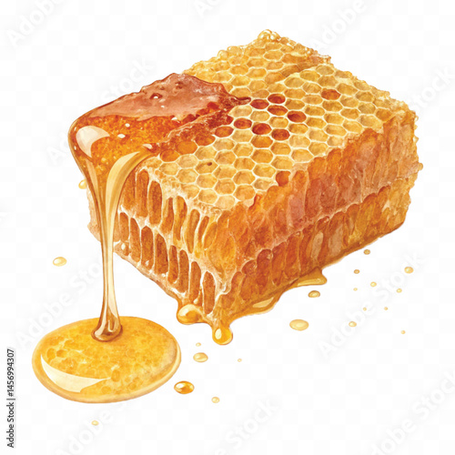 realistic glossy honeycomb dripping liquid honey isolated on transparent background