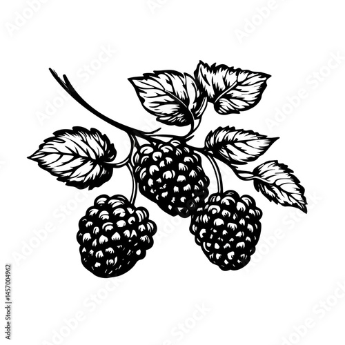 Mulberry symbol - black and white & minimalist design for tattoos, logos, vectors - isolated on white background.