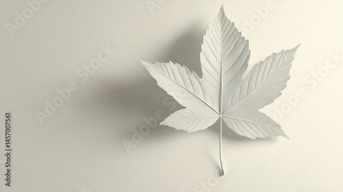 Single white sycamore leaf on a beige background, casting a subtle shadow.