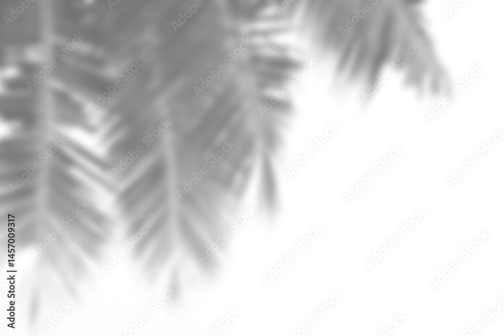 Obraz premium Leaf shadow overlay effect mock up creates natural and realistic look for your design presentation with soft light and tropical atmosphere