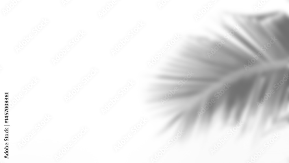 Obraz premium Leaf shadow overlay effect mock up creates soft natural atmosphere with blurred palm leaf detail and light background perfect for presentation or design projects