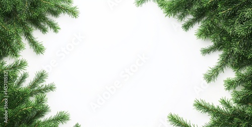 Obraz na płótnie Evergreen branches frame a white background, ideal for text or design. w salonie