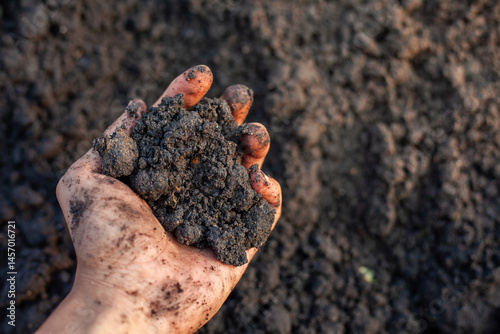Soil and rice plants for cultivation, tree care, farmers. Expert hands are examining the soil in his field.