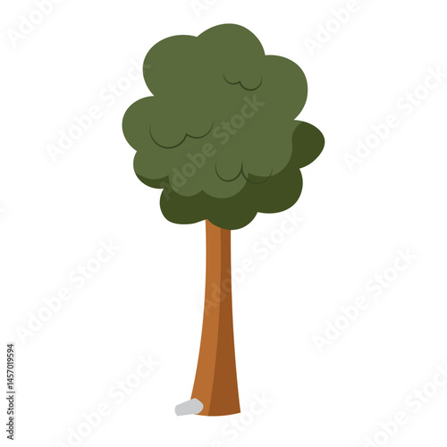 Tall leafy green tree. Vector
