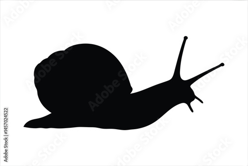 snail black silhouette vector, snail isolated, snail black symbol 