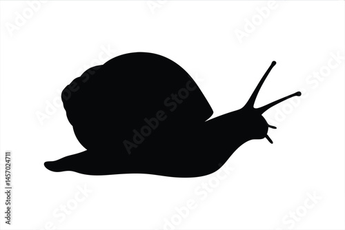 snail black silhouette vector, snail isolated, snail black symbol 