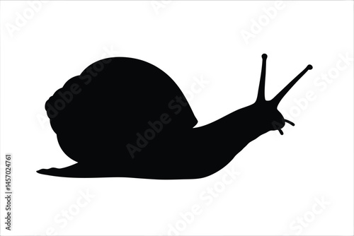 snail black silhouette vector, snail isolated, snail black symbol 