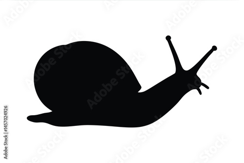 snail black silhouette vector, snail isolated, snail black symbol 