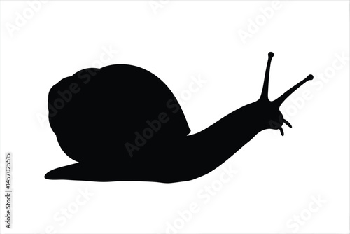 snail black silhouette vector, snail isolated, snail black symbol 