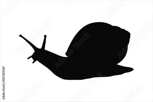 snail black silhouette vector, snail isolated, snail black symbol 