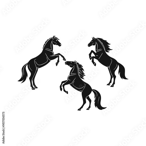 horse and rider